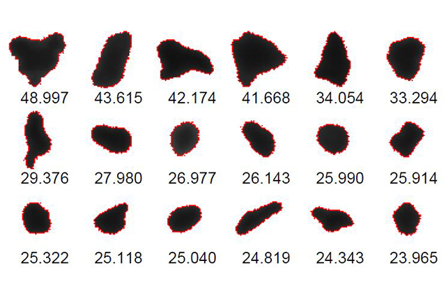 Partikelform Analyse