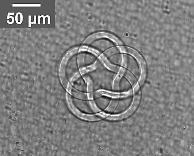 Mikrofluidik Knotenstruktur