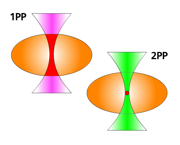 2PP Schema CeSMA