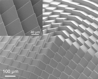 array of complex optical structure Cm-scale array of complex optical structure with highly accurate µ-features