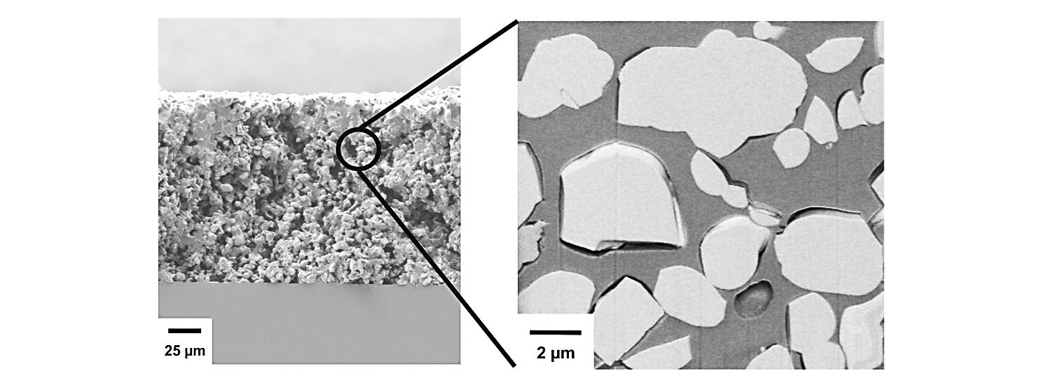 ORMOCER matrix SEM image