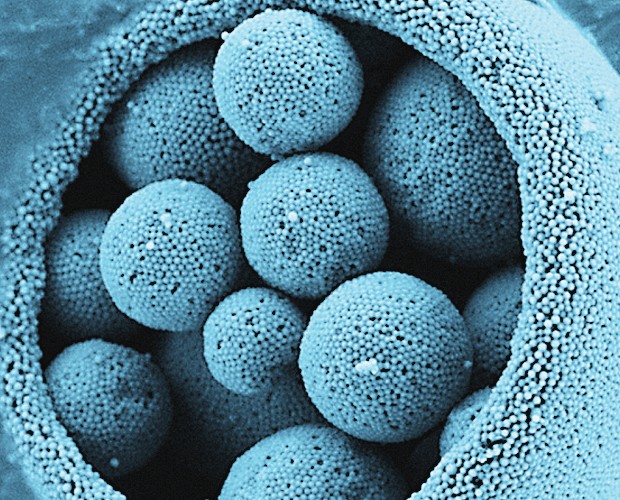 Particles Particles